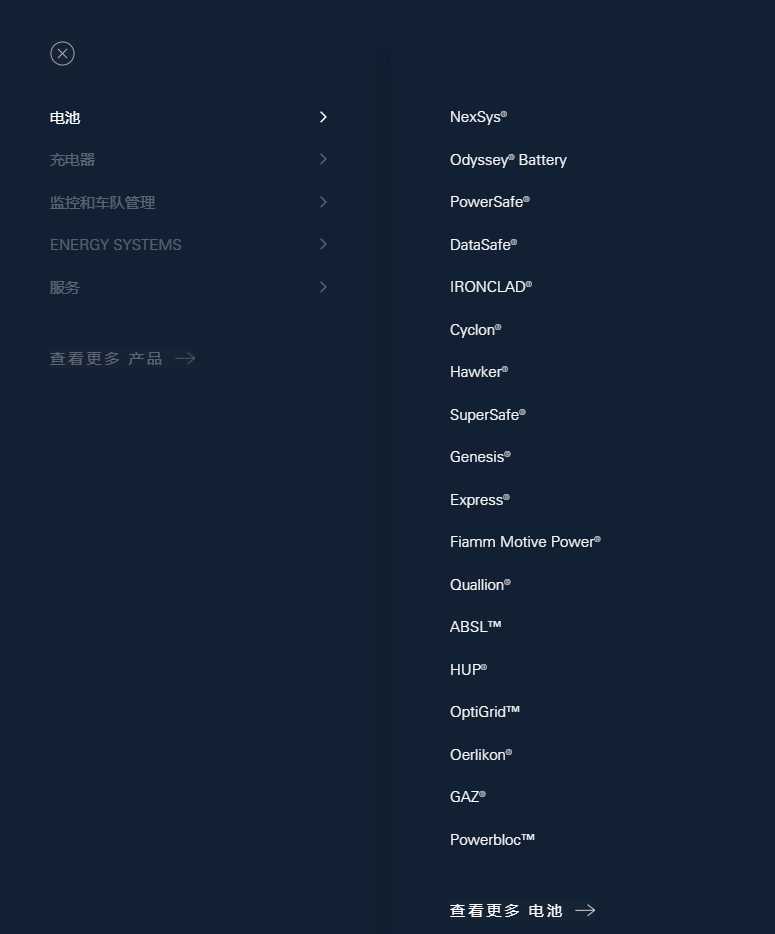 管式胶体电池（直流屏用） GFM100P